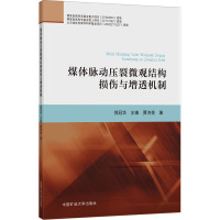 煤体脉动压裂微观结构损伤与增透机制 倪冠华,王镇,贾济亮 著 大中专 文轩网