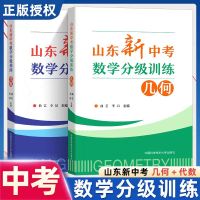 山东新中考数学分级训练:几何+代数 曲艺,李昂 著 文教 文轩网