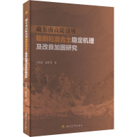 藏东南高陡边坡粗颗粒混合土稳定机理及改良加固研究 王培清,赵哲苇 著 专业科技 文轩网