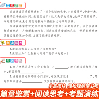 快乐读书吧6年下册 《尼尔斯骑鹅旅行记》《鲁滨逊漂流记》《爱丽丝漫游奇境》《汤姆·索亚历险记》(全4册) 