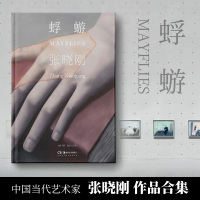 张晓刚 蜉蝣 李佳 编 艺术 文轩网