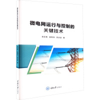 微电网运行与控制的关键技术 吴志民,赵恒亮,吴永进 著 专业科技 文轩网