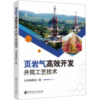 页岩气高效开发井筒工艺技术 《页岩气高效开发井筒工艺技术》编委会 著 专业科技 文轩网