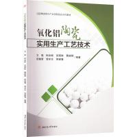 氧化铝陶瓷实用生产工艺技术 文瑾 等 编 专业科技 文轩网