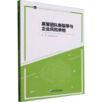 高管团队断裂带与企业风险承担 余伟,宋淑娟 著 经管、励志 文轩网