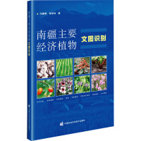 南疆主要经济植物文图识别 冯建菊,蒋学玮 著 专业科技 文轩网