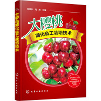 大樱桃简化省工栽培技术 宗绪和,刘坤 编 专业科技 文轩网