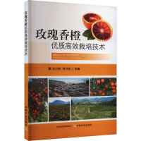 玫瑰香橙优质高效栽培技术 汪小伟,乔兴华 编 专业科技 文轩网