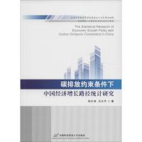 碳排放约束条件下中国经济增长路径统计研究 张尔俊,马立平 著 经管、励志 文轩网