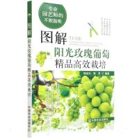 图解阳光玫瑰葡萄精品高效栽培 杨治元,陈哲 编 专业科技 文轩网