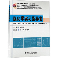 煤化学实习指导书 汪小妹 编 大中专 文轩网