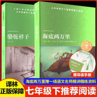 七年级下推荐阅读 海底两万里+骆驼祥子 海底两万里赠一线语文名师精讲精练资料 译林版