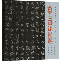 墓志书法精选 第20册 苌寿墓志 傅君墓志 荣宝斋出版社 编 艺术 文轩网