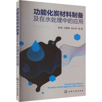 功能化炭材料制备及在水处理中的应用 侯嫔 等 著 专业科技 文轩网