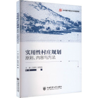 实用性村庄规划 原则、内容与方法 王健,吕国玮,段增强 编 经管、励志 文轩网