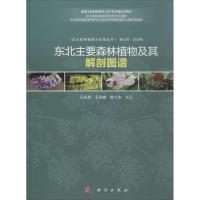 东北主要森林植物及其解剖图谱 王庆贵,王洪峰,韩士杰 编著;韩士杰 丛书总主编 专业科技 文轩网