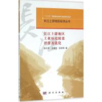 长江上游地区工业环境绩效评价与优化 杨文举,龙睿赟,陈婷婷 著 著 专业科技 文轩网