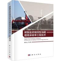 碳酸盐岩缝洞型油藏提高采收率工程技术 刘中云 等 著 专业科技 文轩网