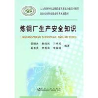 炼钢厂生产安全知识 邵明天 等 著作 大中专 文轩网
