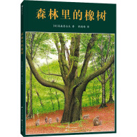 森林里的橡树 (日)高森登志夫 著 倪婧婧 译 少儿 文轩网