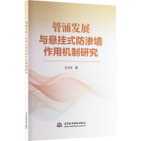 管涌发展与悬挂式防渗墙作用机制研究 王大宇 著 专业科技 文轩网