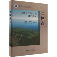 吉林省铬铁矿矿产资源潜力评价 松权衡 等 编 专业科技 文轩网