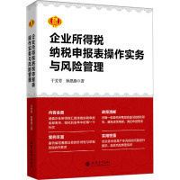 企业所得税纳税申报表操作实务与风险管理 于芳芳,孙思燕 著 经管、励志 文轩网