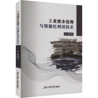 工业废水处理与资源化利用技术 任静 著 专业科技 文轩网