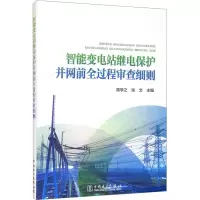 智能变电站继电保护并网前全过程审查细则 简学之,张文 编 专业科技 文轩网