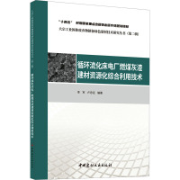 循环流化床电厂燃煤灰渣建材资源化综合利用技术 李军,卢忠远,王栋民 编 专业科技 文轩网