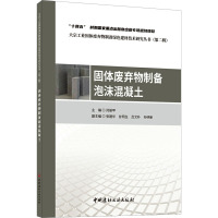 固体废弃物制备泡沫混凝土 闫振甲,王栋民 编 专业科技 文轩网