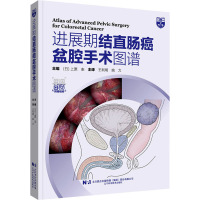 进展期结直肠癌盆腔手术图谱 (日)上原圭 编 王利明,姚力 译 生活 文轩网