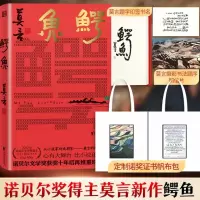 鳄鱼(定制版) 莫言 著 文学 文轩网