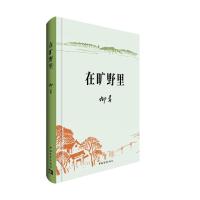 预售在旷野里 柳青 著 文学 文轩网