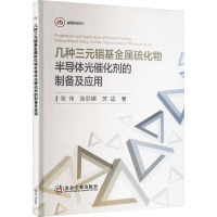 几种三元铟基金属硫化物半导体光催化剂的制备及应用 张伟,张丽娜,苏适 著 专业科技 文轩网