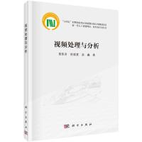 视频处理与分析 黄凯奇,陈晓棠,赵鑫 著 专业科技 文轩网