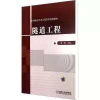 隧道工程 岳强 编 大中专 文轩网