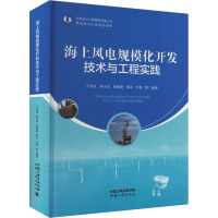 海上风电规模化开发技术与工程实践 王良友 等 编 专业科技 文轩网