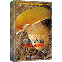 常见蘑菇野外识别手册 肖波,范宇光 编 专业科技 文轩网
