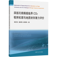 深部无烟煤超临界CO2吸附机理与地质封存潜力评价 韩思杰,桑树勋,段飘飘 著 大中专 文轩网