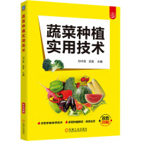 蔬菜种植实用技术 刘中良,武良 编 专业科技 文轩网