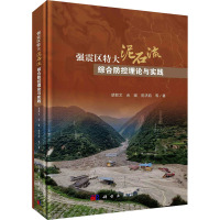 强震区特大泥石流综合防控理论与实践 胡卸文 等 著 专业科技 文轩网