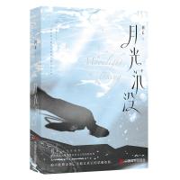 月光沉没初禾浪漫悬疑代表作拯救我的少年是雪山尖儿上皎洁的月光 初禾 著 无 译 文学 文轩网