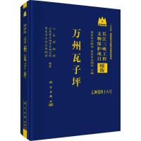 万州瓦子坪 山东博物馆,山东省文物考古研究院,重庆市万州区博物馆 编 社科 文轩网