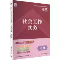 社会工作实务 中级 2025 全国社会工作者职业水平考试命题研究组 编 经管、励志 文轩网