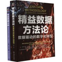 精益数据分析+精益数字化转型,精益数据方法驱动商业决策+数字化转型标准著作(套装)(全2册) 史凯 等 著 专业科技 