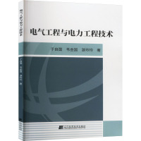 电气工程与电力工程技术 于自国,韦金国,游玲玲 著 专业科技 文轩网