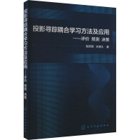 投影寻踪耦合学习方法及应用——评价 预测 决策 张欣莉,王顺久 著 专业科技 文轩网