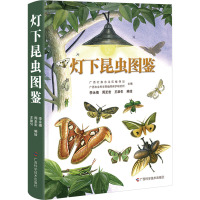 灯下昆虫图鉴 李永禧,周至宏,王助引 绘 专业科技 文轩网