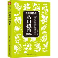 药用植物图鉴 尚云青 主编 著作 生活 文轩网